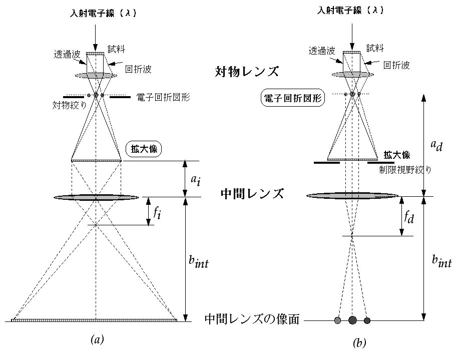 顕微鏡 しぼり 役割